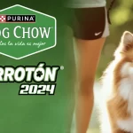 Perrotón/ Purina Dog Chow