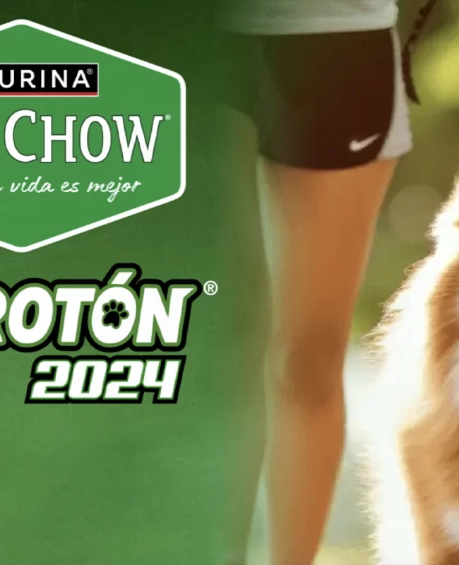 Perrotón/ Purina Dog Chow