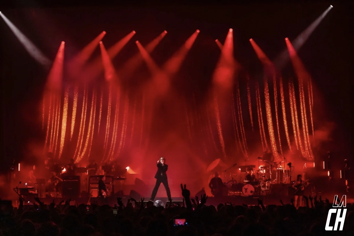 Pulp / X