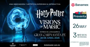 Harry Potter: Visions of Magic