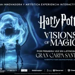 Harry Potter / Vision