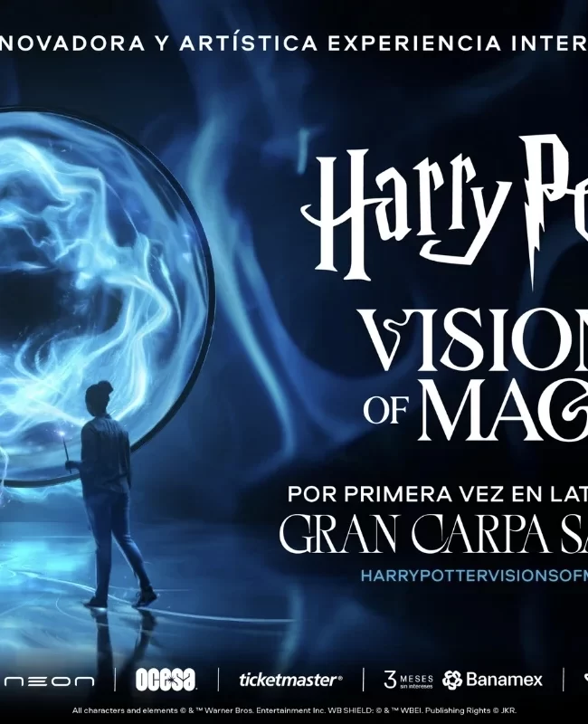 Harry Potter / Vision