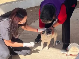 Un día con mi mejor amigo / Festival Canino 2025 / Bosque de San Juan de Aragón / Sedema