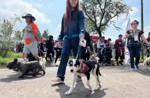 Un día con mi mejor amigo / Festival Canino 2025 / Bosque de San Juan de Aragón / Sedema