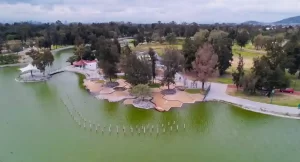 Un día con mi mejor amigo / Festival Canino 2025 / Bosque de San Juan de Aragón / Sedema
