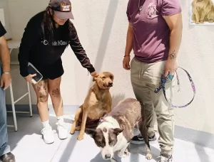 Frody / Croquetón 2025