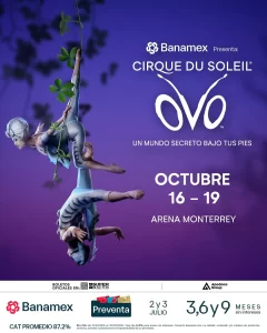 Cirque du Soleil / OVO