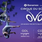 Cirque du Soleil / OVO