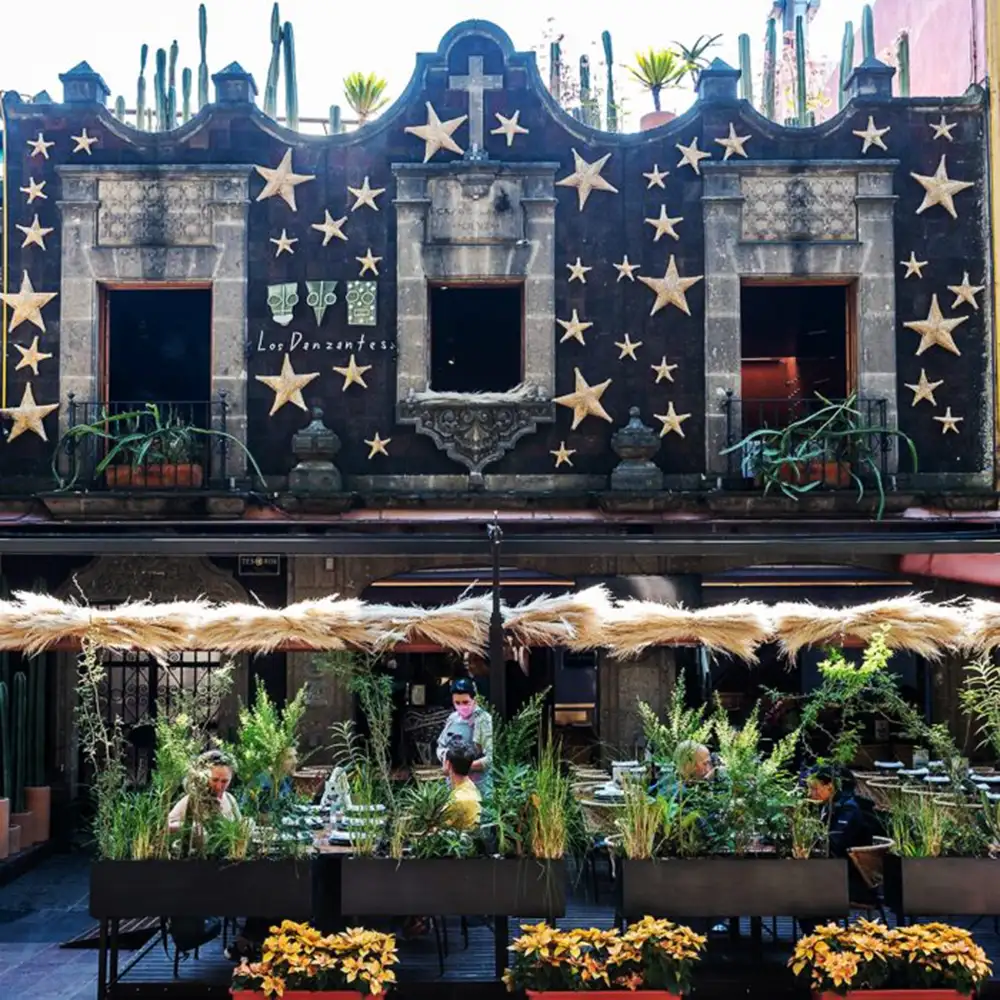 Los Danzantes Coyoacán- tradición, mezcal y sabores mexicanos en el corazón del barrio