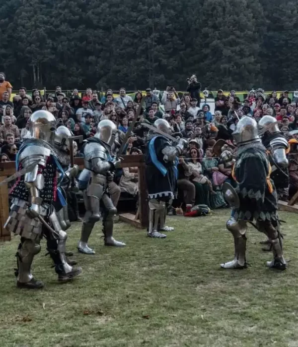 IMAGEN NUEVA FESTIVAL MEDIEVAL LA MARQUESA II (8)