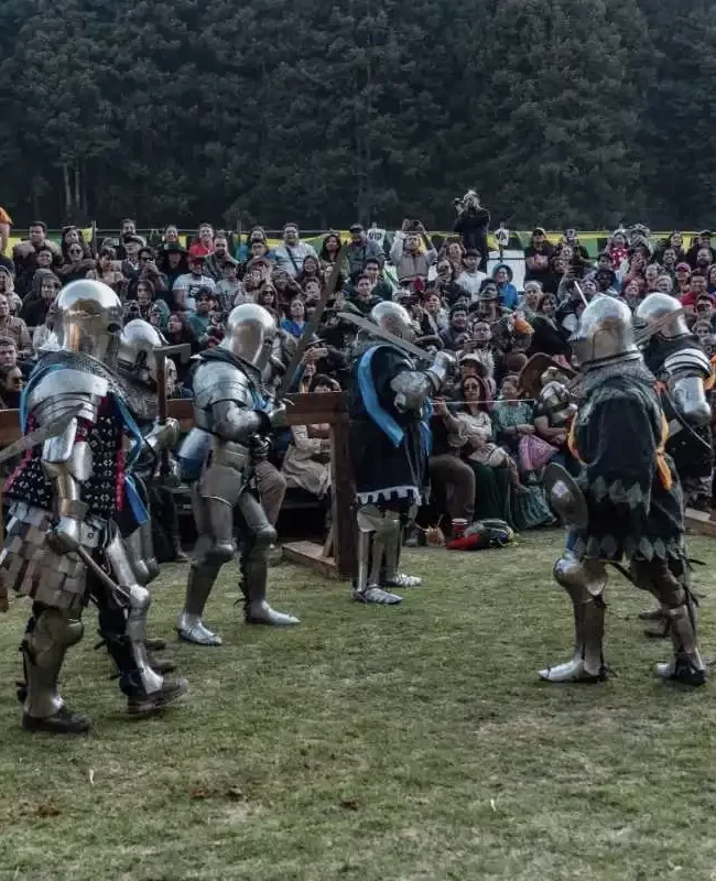 IMAGEN NUEVA FESTIVAL MEDIEVAL LA MARQUESA II (8)